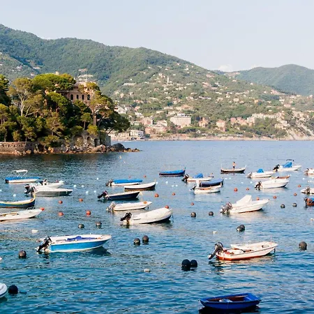 Apartment Beautiful Flat In - Happy Rapallo